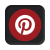 Pinterest Icon Button
