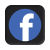 Facebook Icon Button